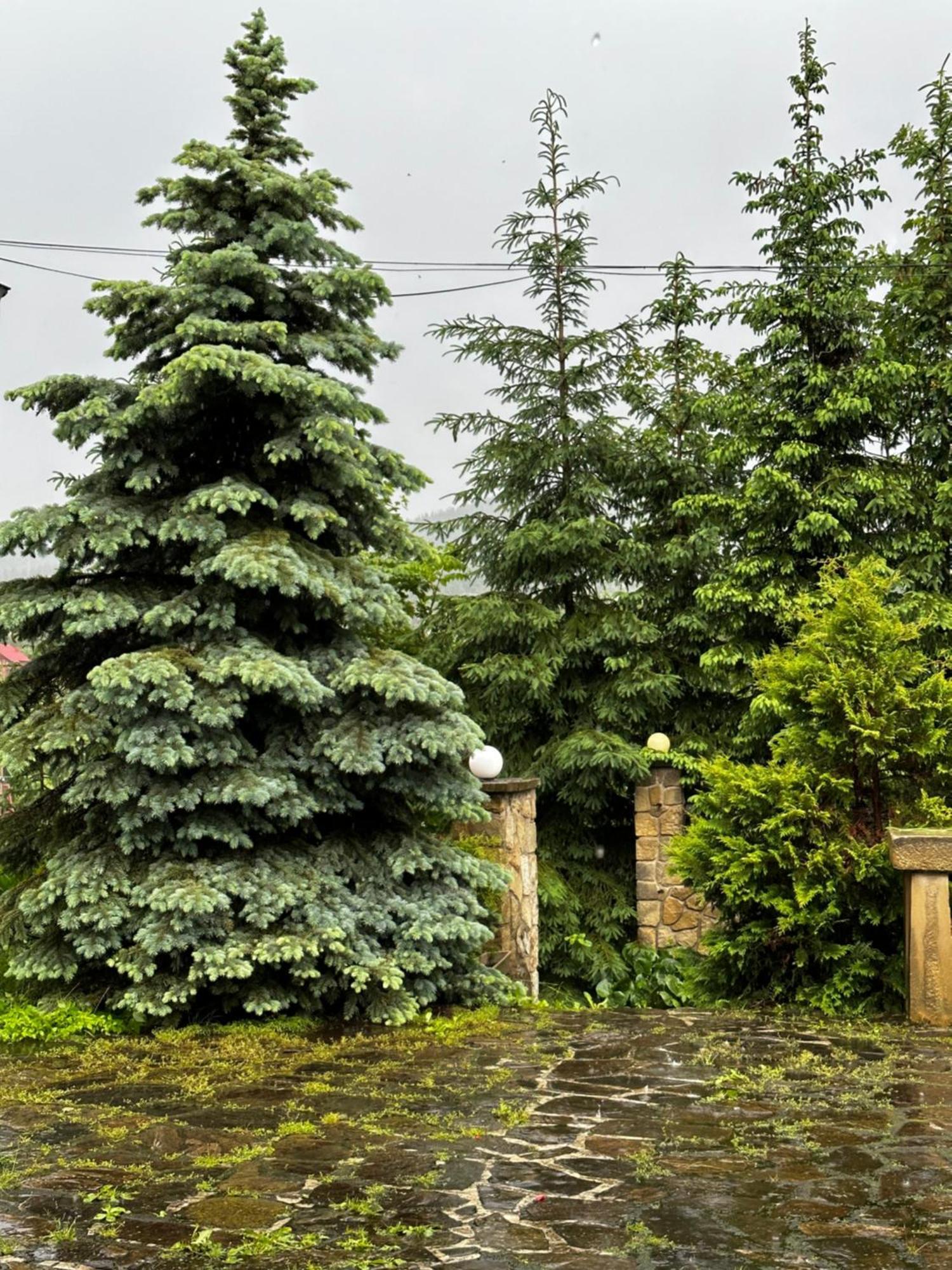 Chalet Pidstromom Mykulychyn Εξωτερικό φωτογραφία